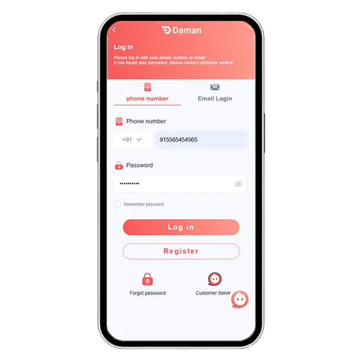 Login Interface